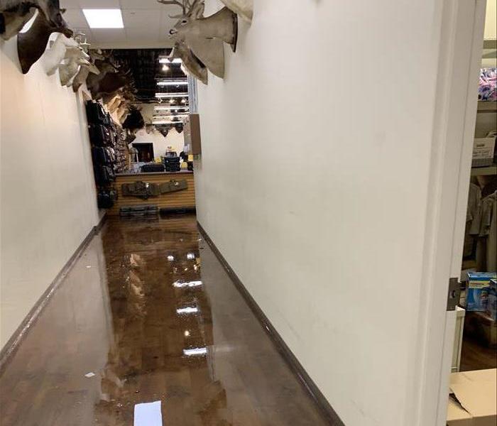 wooden filed floor covered in water with trophies on the wall