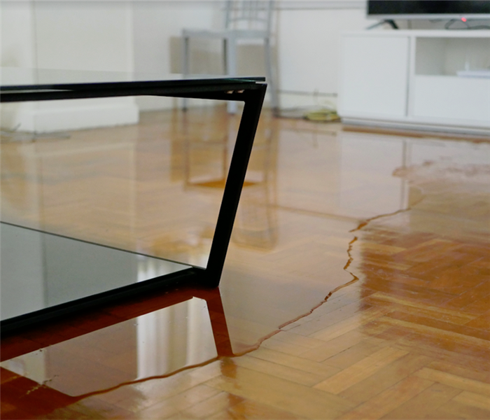 a puddle of water on wood flooring in a living room